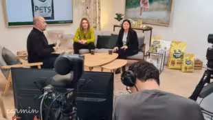 Mediactive Broadcast