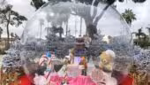 Platibubble - Astreea® France - BubblePoolEvents - 3DPrintEvents
