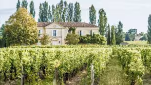 Château l'Etampe