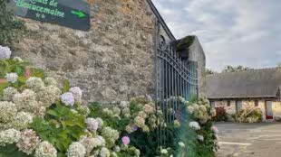 Hôtel Les Voisins Beaucemaine