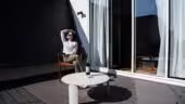 YOU Are Deauville