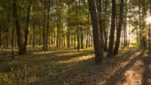 Relais des Landes