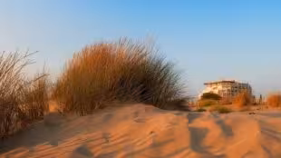 Thalazur Port-Camargue