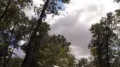 Camping Tarn | Domaine du Koukano