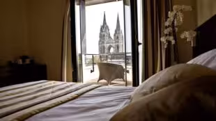 Best Western Plus Hôtel des Francs Relais des Vignes Adhérent