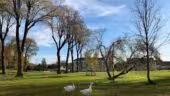 Le Domaine d'Orgemont