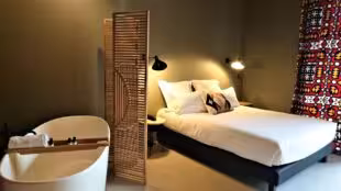 Hôtel La Zoologie