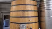 Domaine de MONTINE