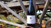 Domaine Saint André