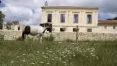 VILLA COURREAU