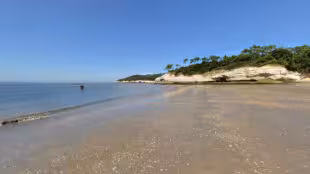 Domaine Entre Mer et Forêt