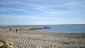 Thalacap Camargue