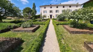 Domaine Morgon La Javernière