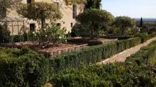 Domaine Morgon La Javernière