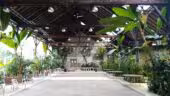 Salle de réception La Foret des Arts