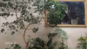 Salle de réception La Foret des Arts