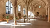 Collège des Bernardins 7 - Collège des Bernardins