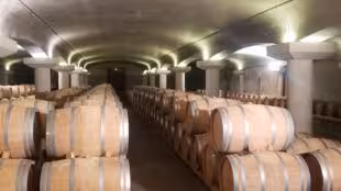 Château Latour-Martillac