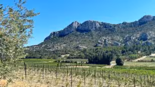 Domaine du Vallon des Glauges