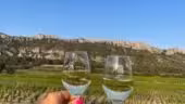 Domaine du Vallon des Glauges