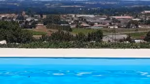 Domaine du petit colombier