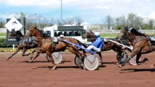 Hippodrome de Lyon - Carré de Soie