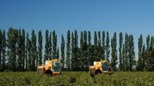 Domaine Isle Saint Pierre
