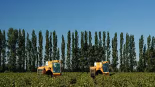 Domaine Isle Saint Pierre