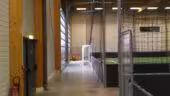 Club 42 Indoor
