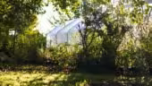 Campus la Mouillère
