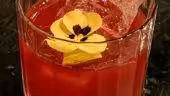 Amaro Cocktails inédits & Food