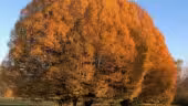 Golf de Seraincourt