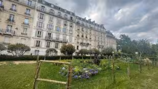 Domiciliation Paris Nikolsen