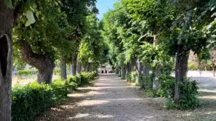 Domaine Melchior Philibert