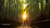 Escape Forest