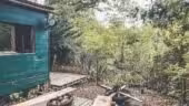 Escape Forest