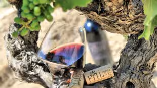 Domaine des trois filles