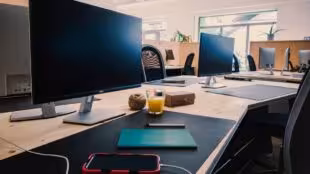 Le Grub