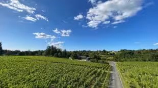 Château de Malherbes