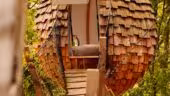 Le Bois de Rosoy