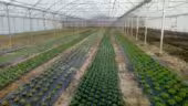 Le Village Potager