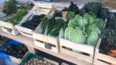Le Village Potager