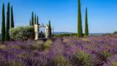 Coquillade Provence