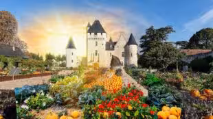 Château du Rivau