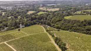 Domaine FL