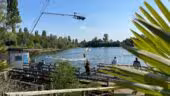 Wake Paradise