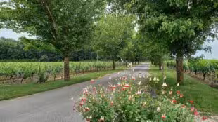 Domaine La Porte Dorée