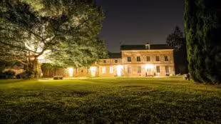 Le domaine des buis