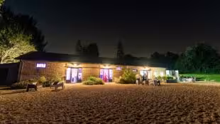 Le domaine des buis