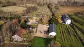 Le domaine des buis